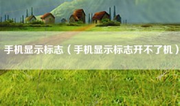 手机显示标志（手机显示标志开不了机）