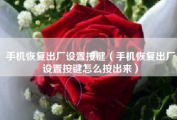 手机恢复出厂设置按键（手机恢复出厂设置按键怎么按出来）