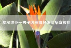 塞尔维亚一男子因威胁总统武契奇被拘