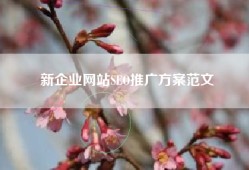 新企业网站SEO推广方案范文