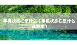 手机状态栏是什么（手机状态栏是什么在哪里）