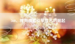 360、搜狗搜索引擎排名的崛起