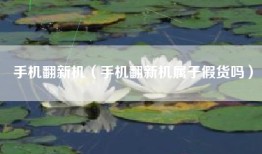 手机翻新机（手机翻新机属于假货吗）