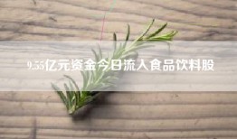 9.55亿元资金今日流入食品饮料股