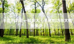 手机的功率一般多大（手机的功率大概是多少）