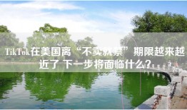 TikTok在美国离“不卖就禁”期限越来越近了 下一步将面临什么？