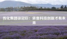 传化集团徐冠巨：依靠科技创新才有未来