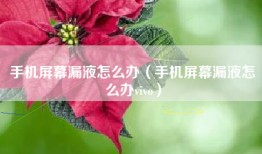 手机屏幕漏液怎么办（手机屏幕漏液怎么办vivo）