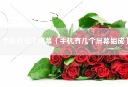 手机有几个屏幕（手机有几个屏幕组成）