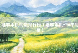 魅族手机销量排行榜（魅族手机2020年销量）
