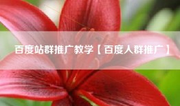 百度站群推广教学【百度人群推广】