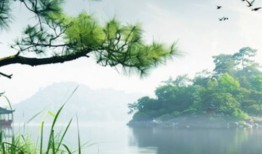 实时更新：宁夏美国特灵开利ProView软件维修维保专用  今日特价优惠：