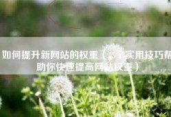 如何提升新网站的权重（15个实用技巧帮助你快速提高网站权重）