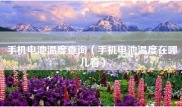 手机电池温度查询（手机电池温度在哪儿看）