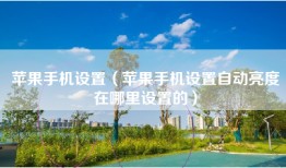 苹果手机设置（苹果手机设置自动亮度在哪里设置的）