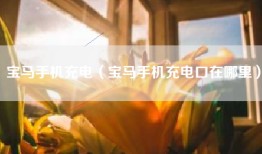 宝马手机充电（宝马手机充电口在哪里）