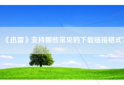 《迅雷》支持哪些常见的下载链接格式？