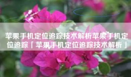 苹果手机定位追踪技术解析苹果手机定位追踪「苹果手机定位追踪技术解析」