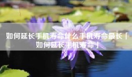 如何延长手机寿命什么手机寿命最长「如何延长手机寿命」