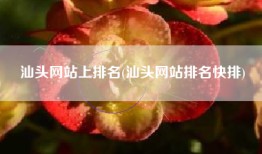 汕头网站上排名(汕头网站排名快排)