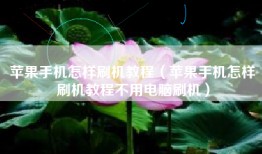 苹果手机怎样刷机教程（苹果手机怎样刷机教程不用电脑刷机）