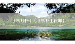 手机打补丁（手机补丁在哪）