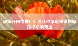 想做好网络推广？这几种渠道和策划思路你必须知道