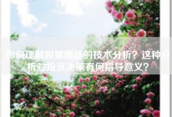 如何理解股票市场的技术分析？这种分析对投资决策有何指导意义？