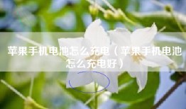 苹果手机电池怎么充电（苹果手机电池怎么充电好）