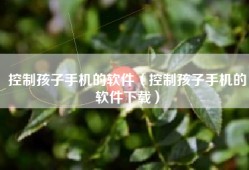 控制孩子手机的软件（控制孩子手机的软件下载）