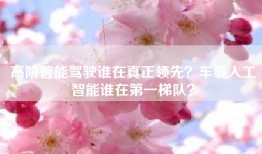 高阶智能驾驶谁在真正领先？车载人工智能谁在第一梯队？