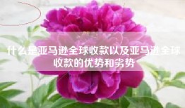 什么是亚马逊全球收款以及亚马逊全球收款的优势和劣势