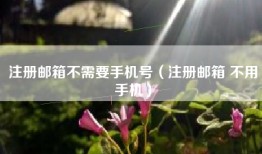 注册邮箱不需要手机号（注册邮箱 不用手机）