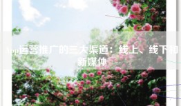 App运营推广的三大渠道：线上、线下和新媒体