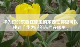 华为过的东西在哪里的东西在哪里可以找到「华为过的东西在哪里」