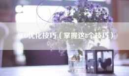 SEO优化技巧（掌握这8个技巧）