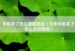 手机丢了怎么定位找回（红米手机丢了怎么定位找回）