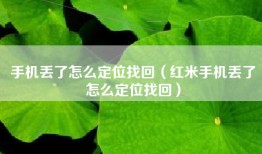 手机丢了怎么定位找回（红米手机丢了怎么定位找回）