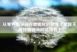 从零开始学习谷歌优化的秘密（掌握关键技能提升网站排名）