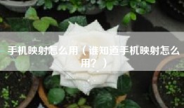 手机映射怎么用（谁知道手机映射怎么用？）