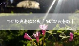 70后经典老歌经典「70后经典老歌」