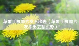 苹果手机图片发不出去（苹果手机图片发不出去怎么办）