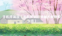 手机摔漏液（手机摔漏液修复大概要多少钱）