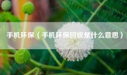 手机环保（手机环保回收是什么意思）