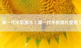 第一代手机图片（第一代手机图片壁纸）