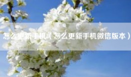 怎么更新手机（怎么更新手机微信版本）