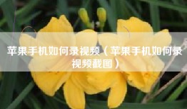 苹果手机如何录视频（苹果手机如何录视频截图）