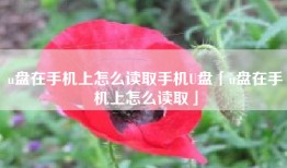 u盘在手机上怎么读取手机U盘「u盘在手机上怎么读取」