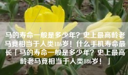 马的寿命一般是多少年？史上最高龄老马竟相当于人类186岁！什么手机寿命最长「马的寿命一般是多少年？史上最高龄老马竟相当于人类186岁！」