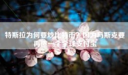 特斯拉为何要炒比特币？因为马斯克要再造一个全球支付宝